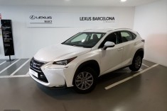 Lexus NX 2.5 300h Corporate 2WD Navibox