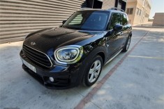 Mini Countryman One D
