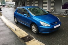 Peugeot 307 1.6 XR Clim Plus
