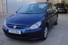 Peugeot 307 1.6 XR Clim Plus