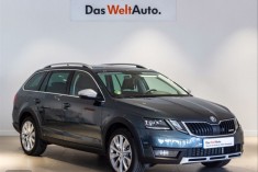 Skoda Scout 2.0 TDI 110kW 150CV DSG 4x4 Scout