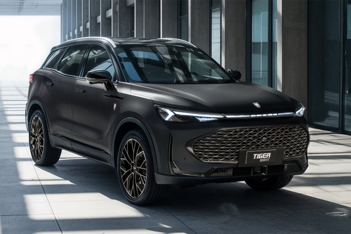 Imagen del Tiger Eight 