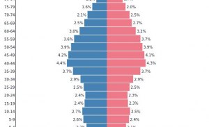 El automóvil en España y la bomba demográfica que viene