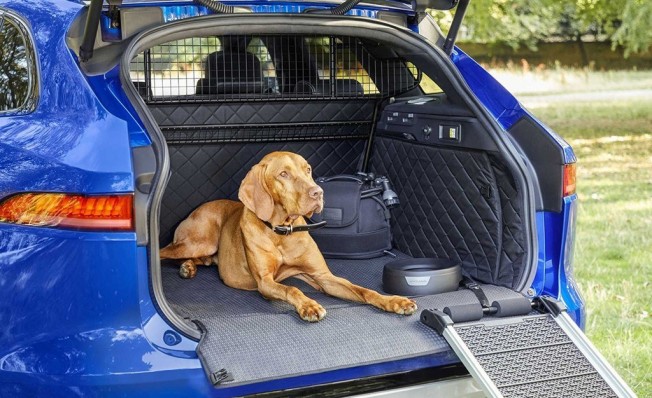Los accesorios de Jaguar para que las mascotas viajen en el coche Los accesorios de Jaguar para que las mascotas viajen en el coche
