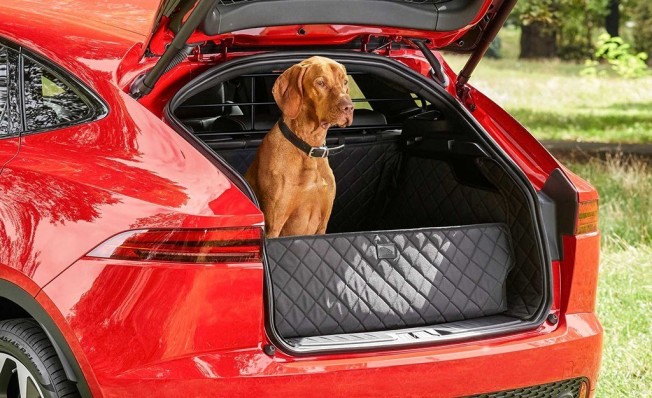 Los accesorios de Jaguar para que las mascotas viajen en el coche Los accesorios de Jaguar para que las mascotas viajen en el coche