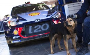 Previo y horarios del Rally de Argentina del WRC 2019