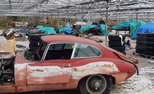 Rescatados cerca de 30 Jaguar clásicos abandonados en un invernadero
