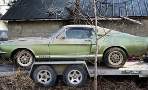 Rescatan un Shelby GT500 que llevaba 40 años abandonado en un granero