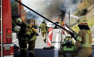 Bomberos alemanes sumergen los coches eléctricos para apagar los incendios