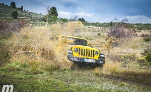 Prueba Jeep Wrangler Rubicon, Ave César