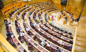 El impuesto de matriculación quedará "congelado" hasta fin de año tras el voto del Senado