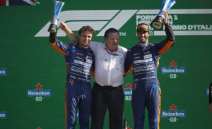 El ratón naranja