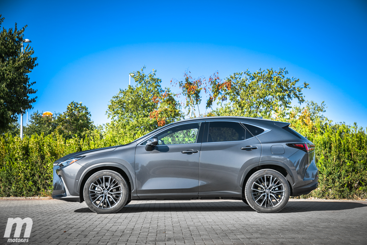 Comparativa Lexus NX 350h vs 450h+, no hay decisión errónea (Con vídeo)