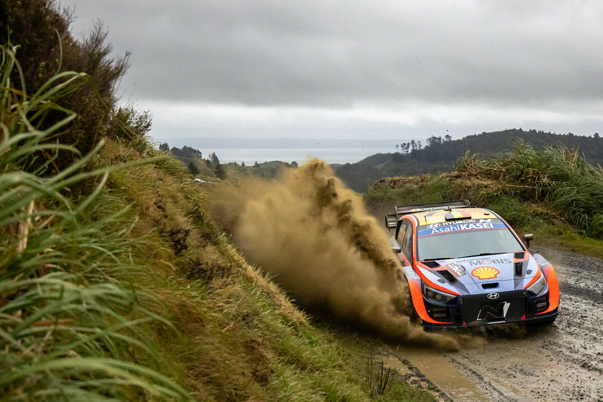 Miniature HYUNDAI I20 N RALLY 1 11 THIERRY NEUVILLE/MARTIJN WYDAEGHE R... 1 /18