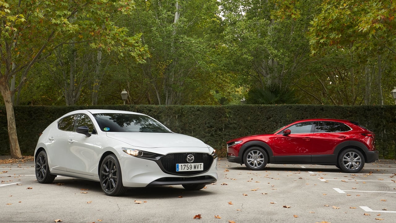 www.motor.es